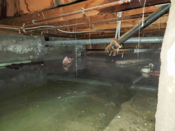 Best Emergency water damage restoration  in Tutwiler, MS