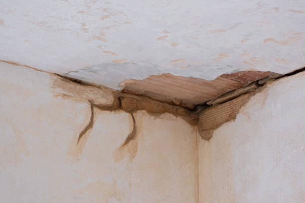 Best Carpet water damage restoration  in Tutwiler, MS