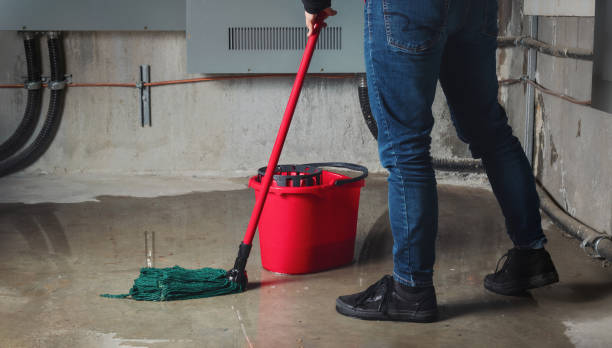 Best Mold removal after water damage  in Tutwiler, MS