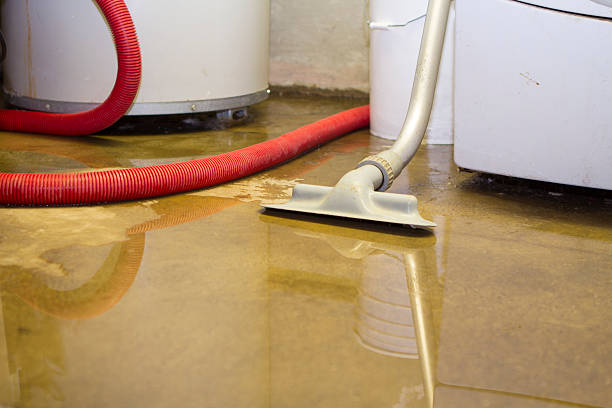 Best Carpet water damage restoration  in Tutwiler, MS