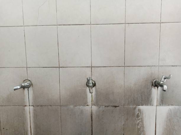 Best Sewage cleanup and water damage restoration  in Tutwiler, MS