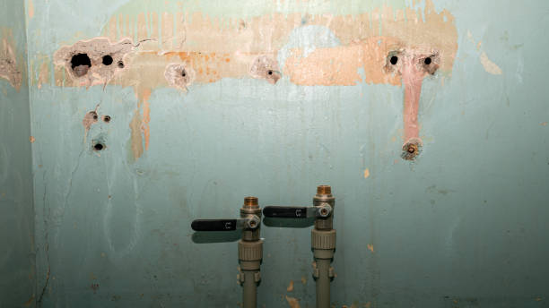 Best Flood damage cleanup  in Tutwiler, MS