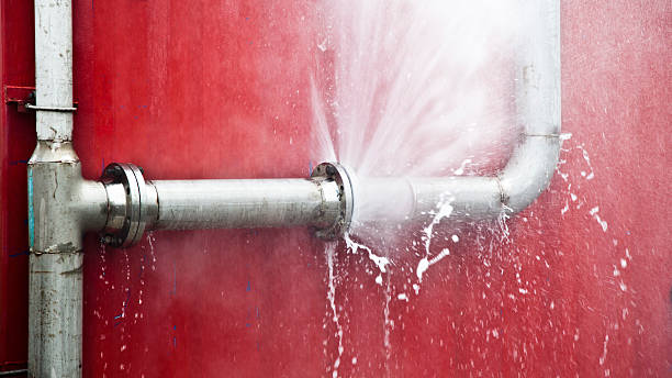 Best Mold removal after water damage  in Tutwiler, MS